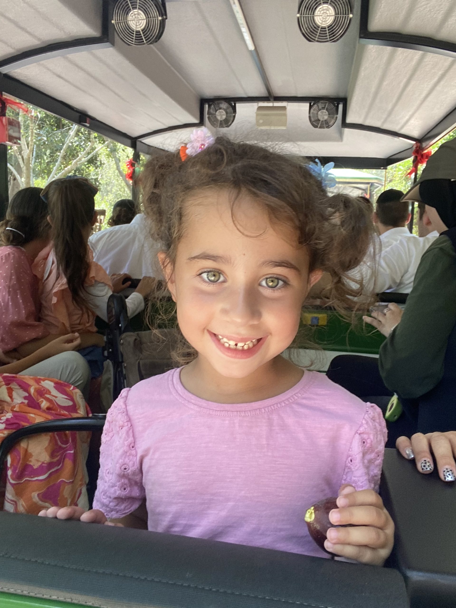 תמונת הפרופיל של אלי רונן