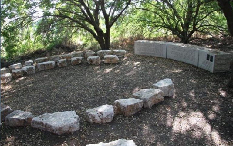 תמונה לזכר תומר קידר&nbsp; &nbsp;צ'יז'יק
