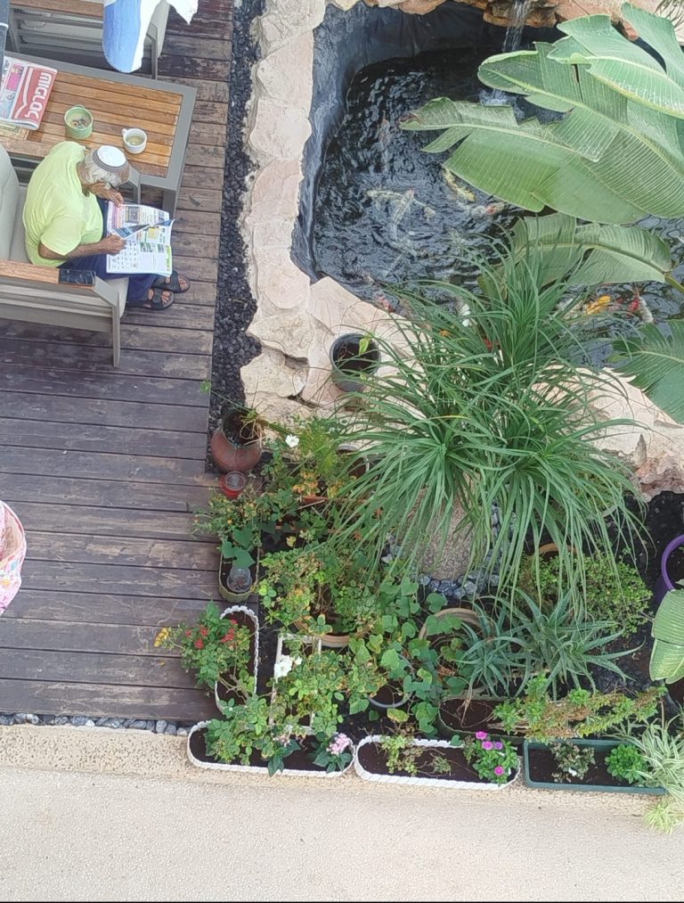 תמונה לזכר מנשה&nbsp; ורינה מהצרי ז"ל
