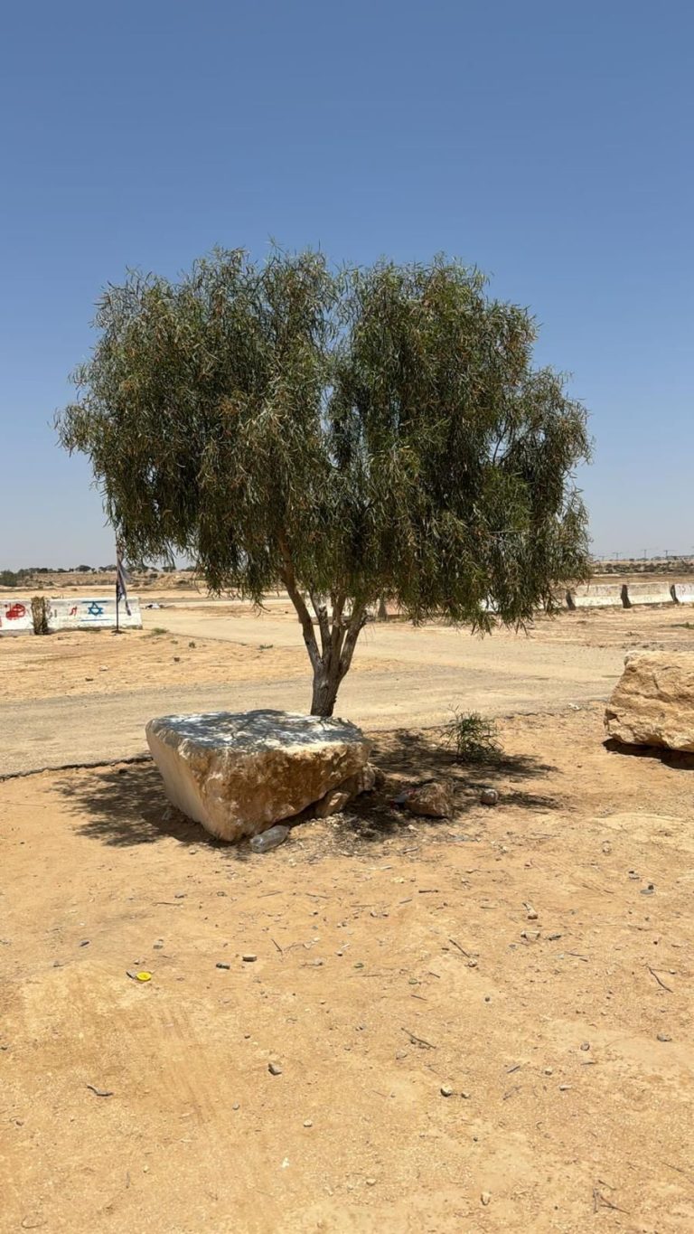 תמונה לזכר שלמה יערי