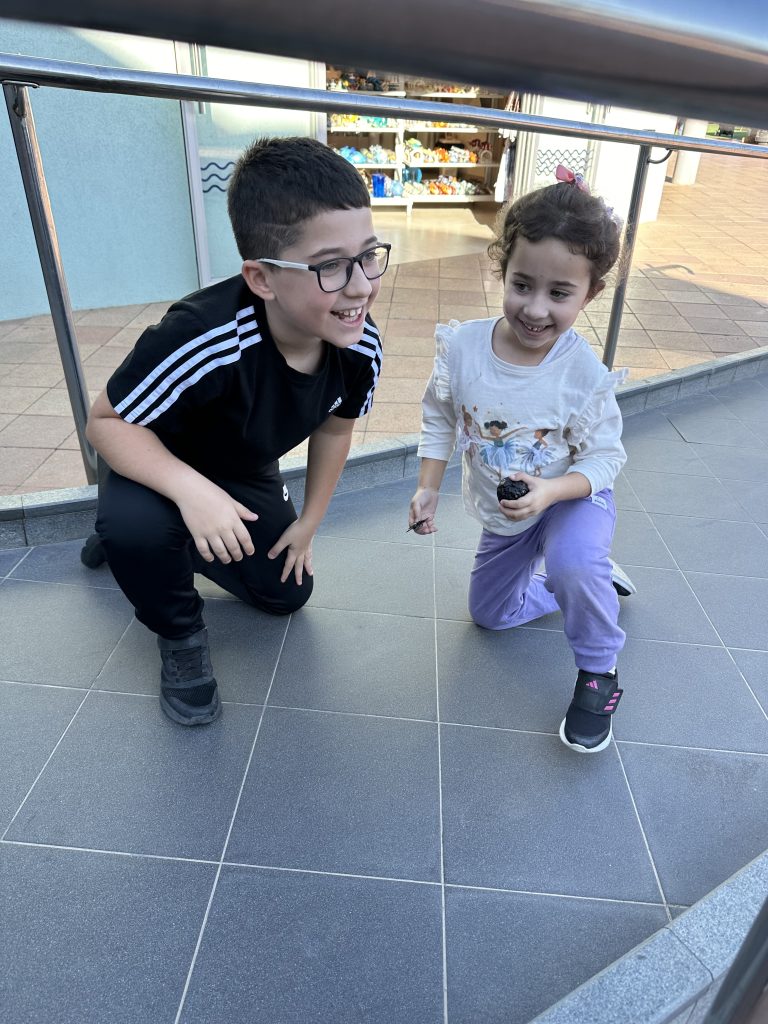 תמונה לזכר אלי רונן