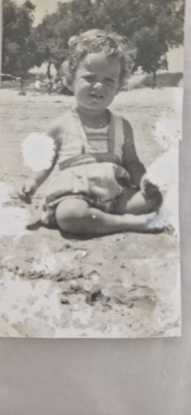 תמונה לזכר אדי אברהם