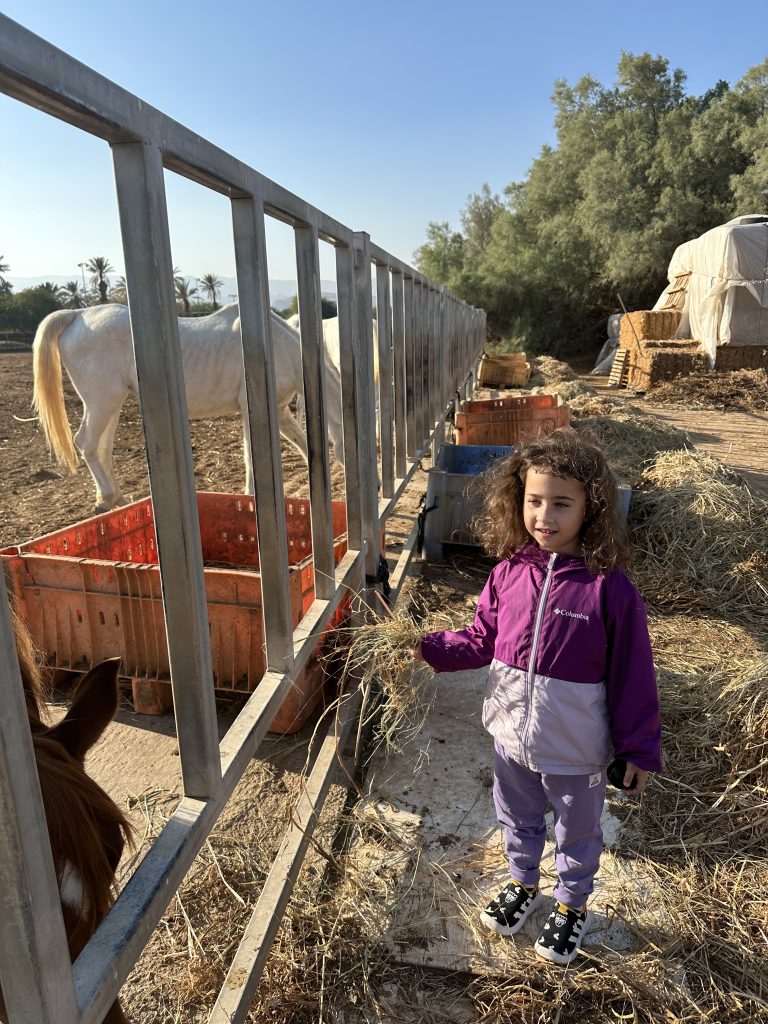 תמונה לזכר אלי רונן