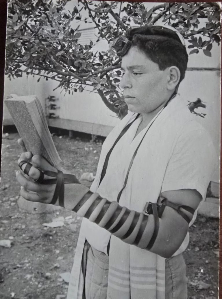 תמונה לזכר שרה וישראל ציון