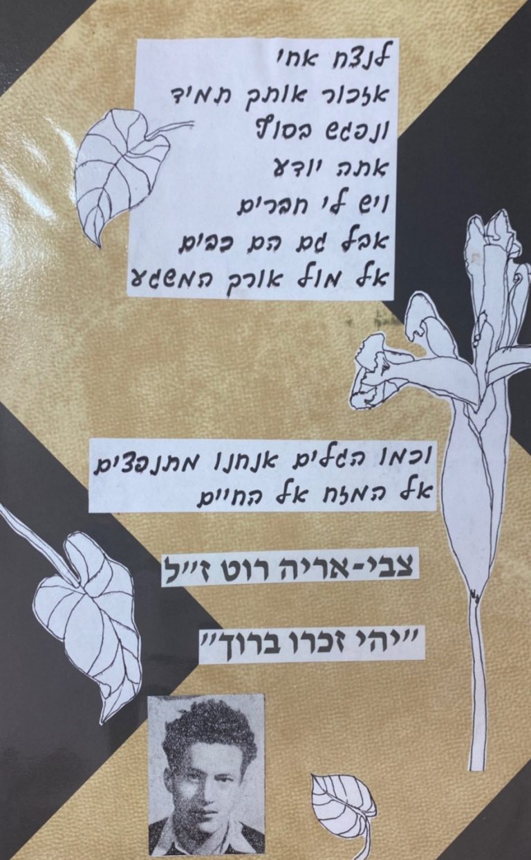 תמונה לזכר צבי אריה (טימלי)&nbsp; רוט