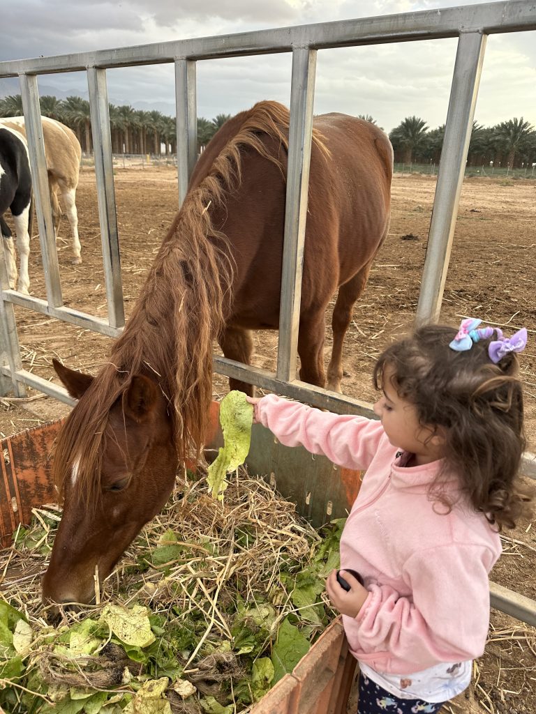 תמונה לזכר אלי רונן
