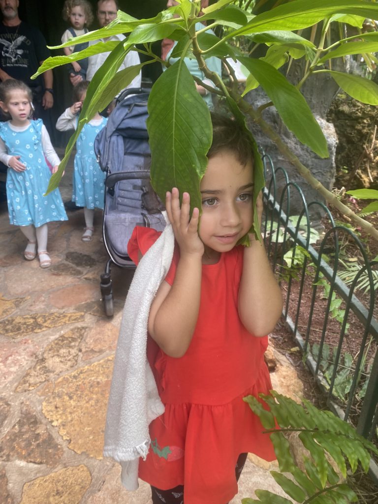 תמונה לזכר אלי רונן