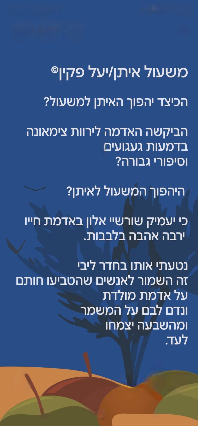 תמונה לזכר סרן איתן  שמואל למברג