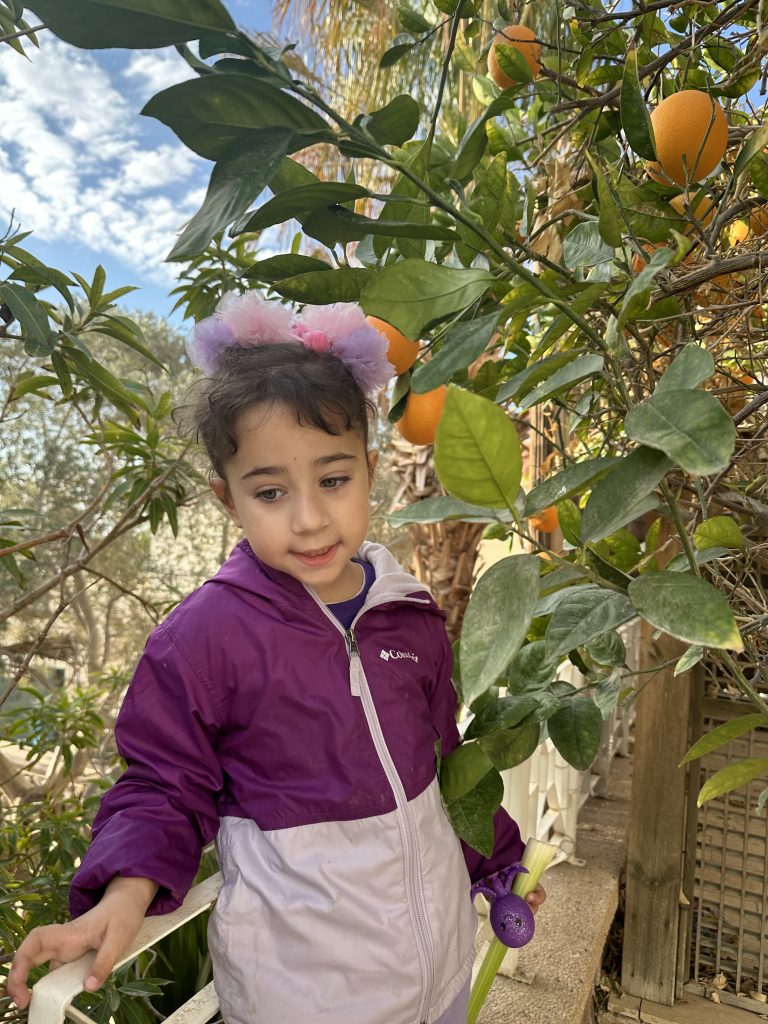 תמונה לזכר אלי רונן