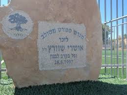 תמונה לזכר אושרי שוורץ